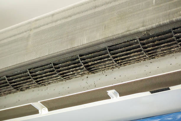 Best Professional Duct Cleaning Services  in Hiram, OH