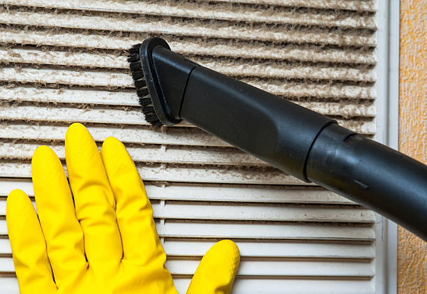 Best Air Duct Sanitizing Services  in Hiram, OH